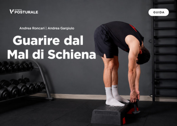 Guarire dal Mal di Schiena – Project InVictus